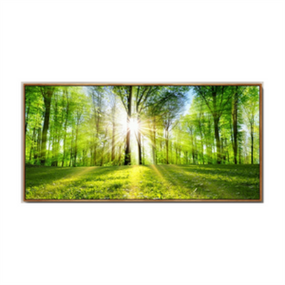 Quadro Foresta Naturale