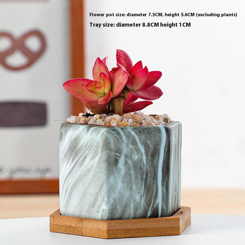 Vaso piante grasse ceramica