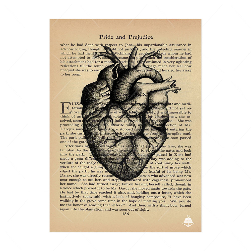 Stampa