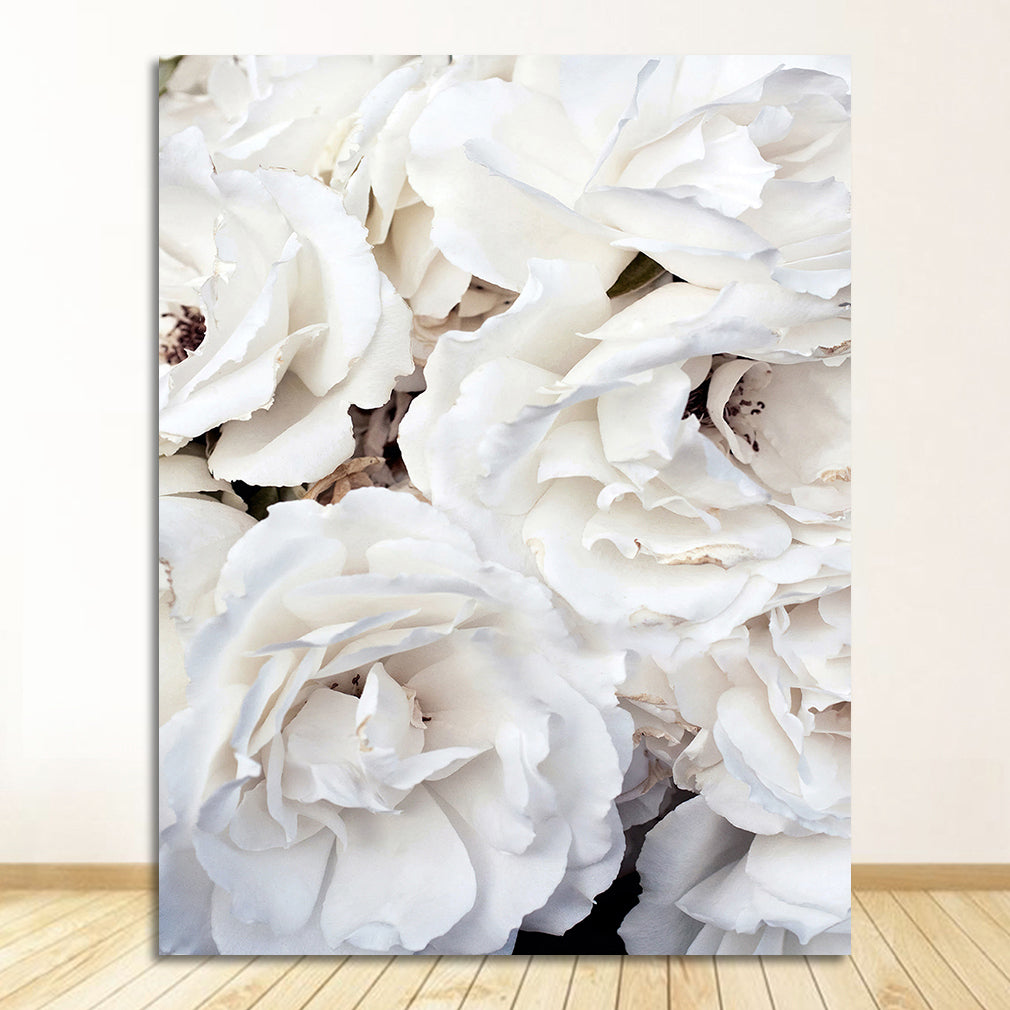 Poster fiori bianchi