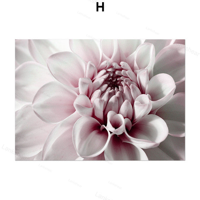 Quadro Peonie