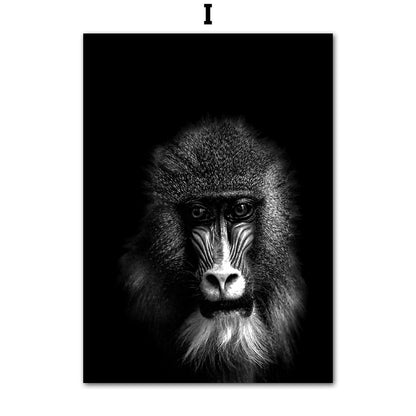Quadro animali