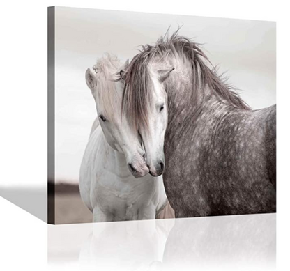 Quadro cavallo camera