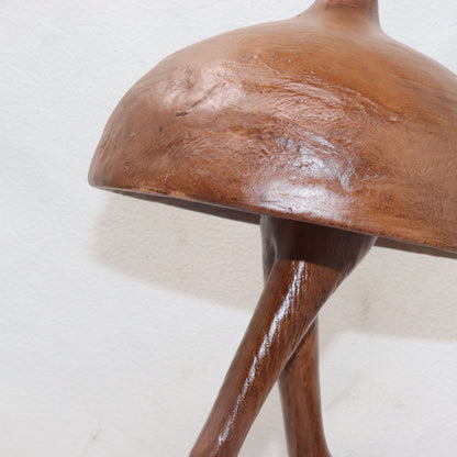 Fungo decorativo