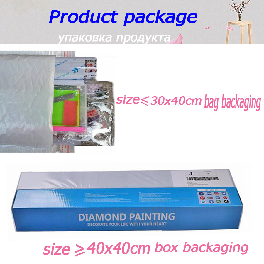 Kit broderie diamanti gatto