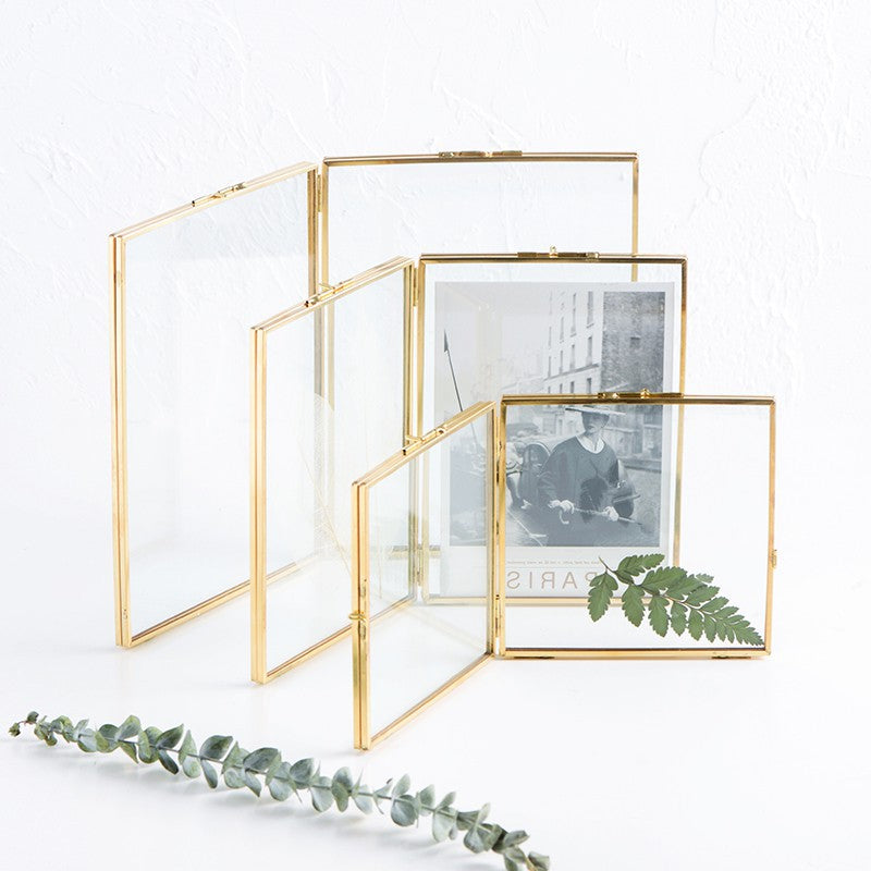 Cornice piante
