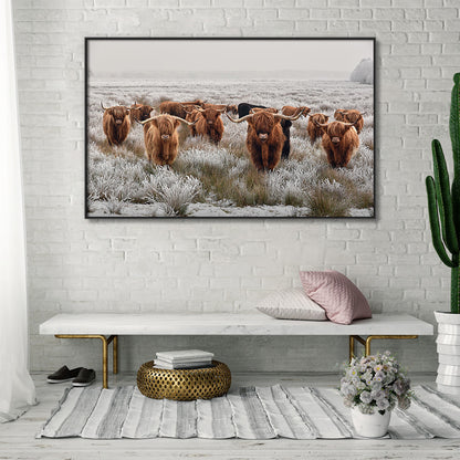 Quadro mucche