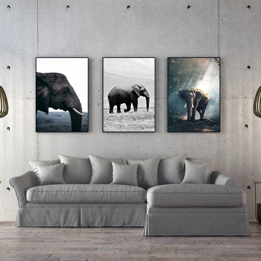 Quadro su tela Tre elefanti ritratti