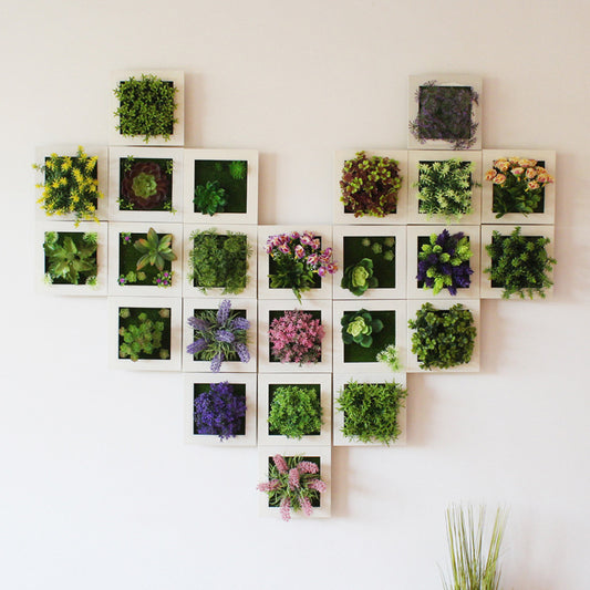 Decorazione parete piante grasse