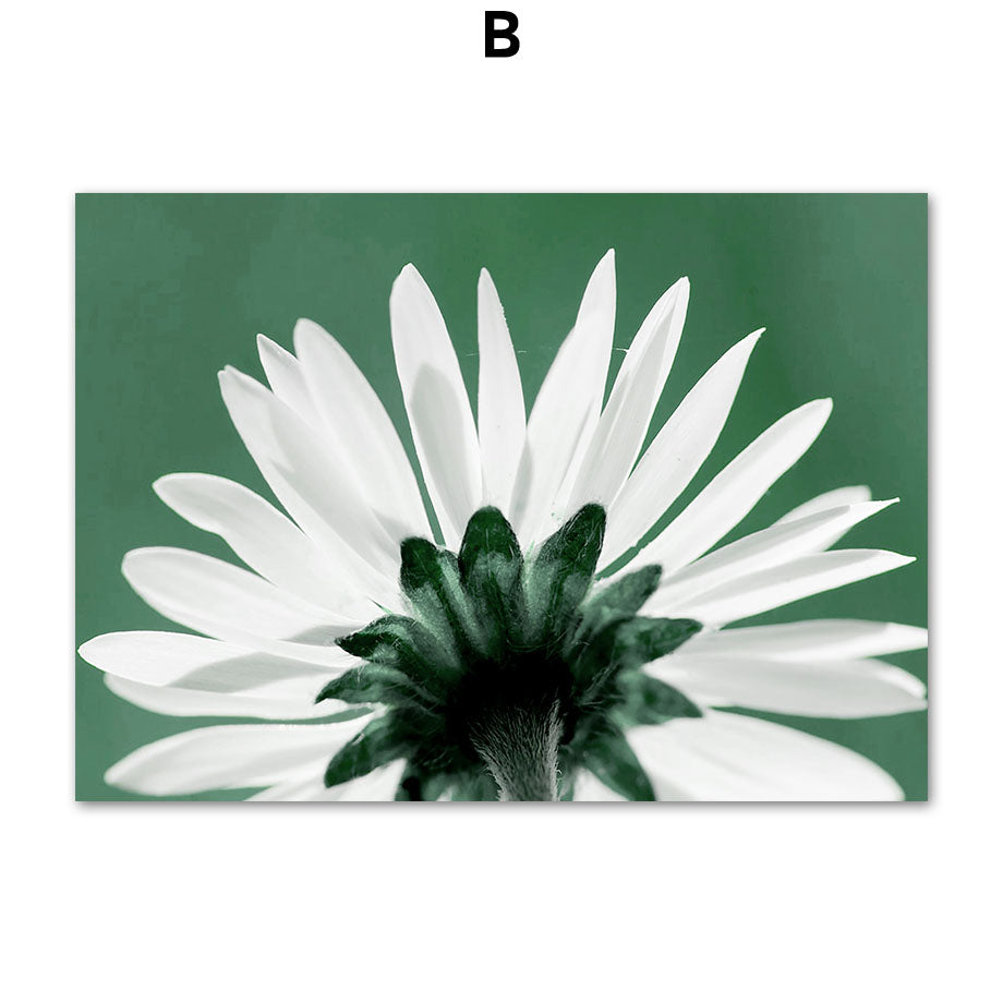 Quadro Decorativo