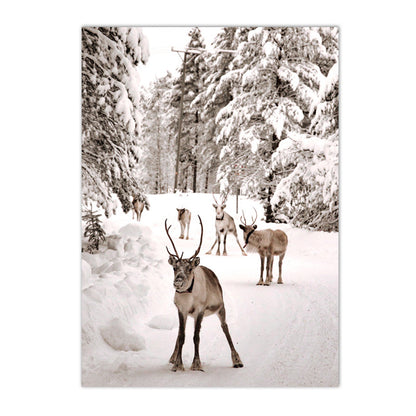 Quadro animali nordici