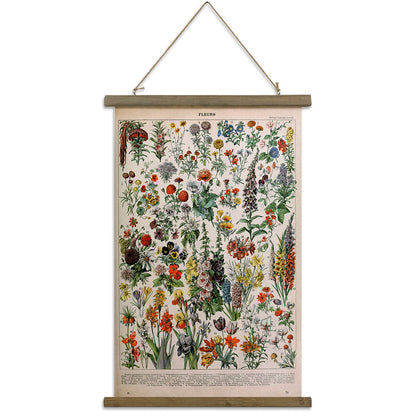 Quadro botanico vintage