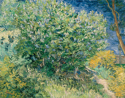 Quadro notte stellata