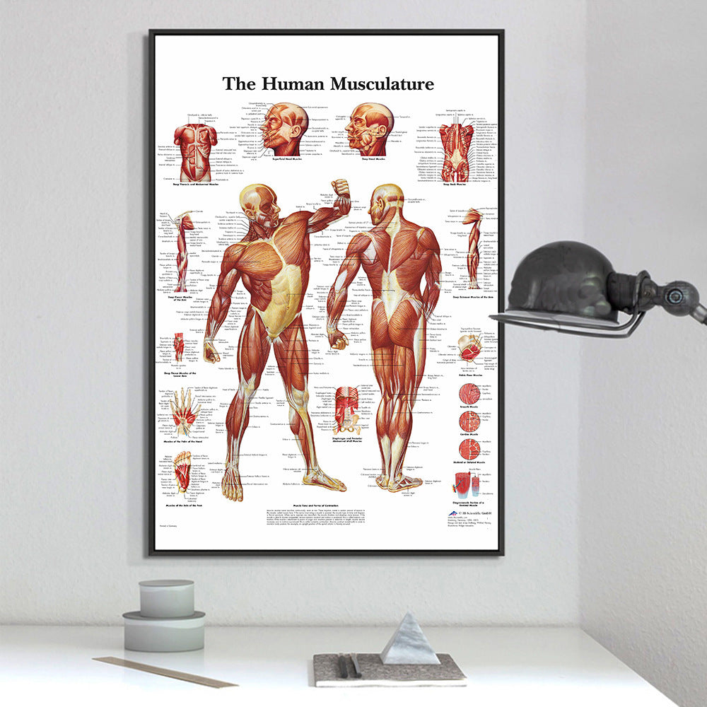 Poster scheletro