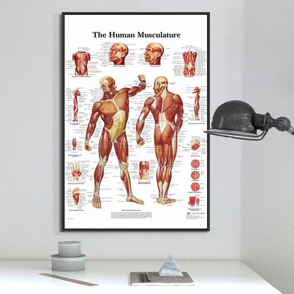 Poster scheletro