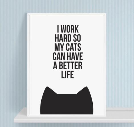 Poster gatto