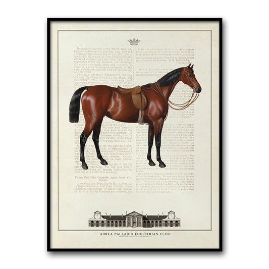 Adesivo murale Cavalli equestri vintage