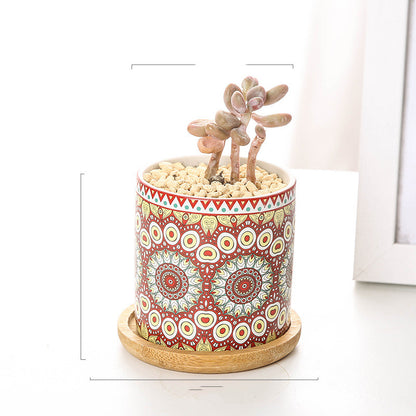Vaso piante grasse mandala