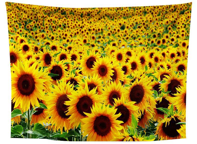 Tappezzeria girasoli