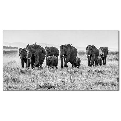 Poster elefante bianco nero