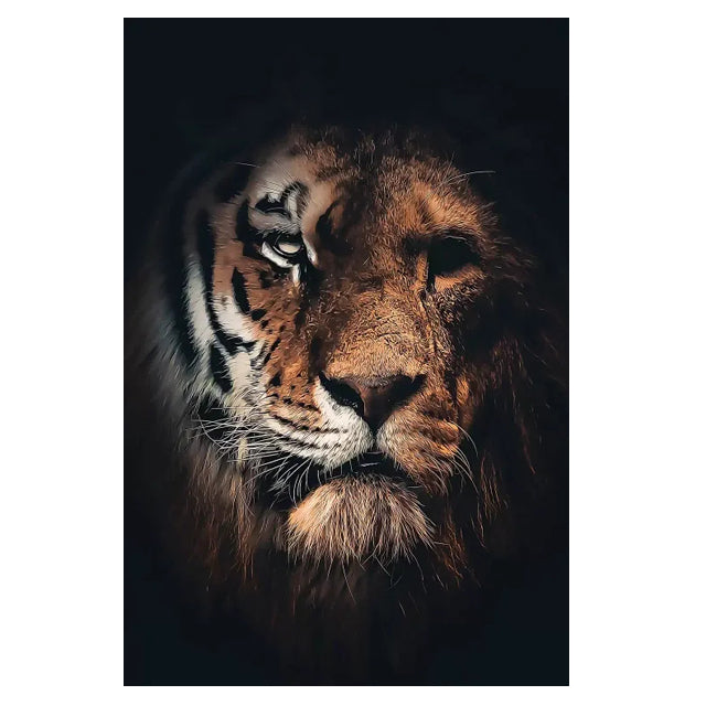 Quadro tigre africana