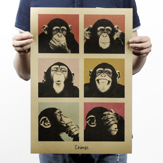 Adesivo murale Gorilla