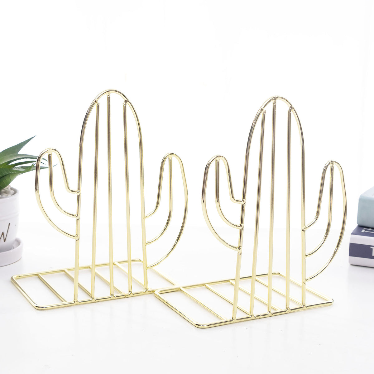 Reggilibri cactus metallo
