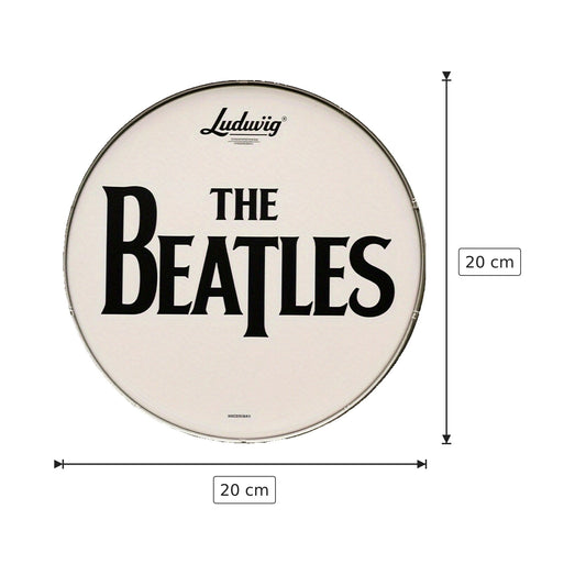 Targa in Metallo The Beatles 20x20 cm