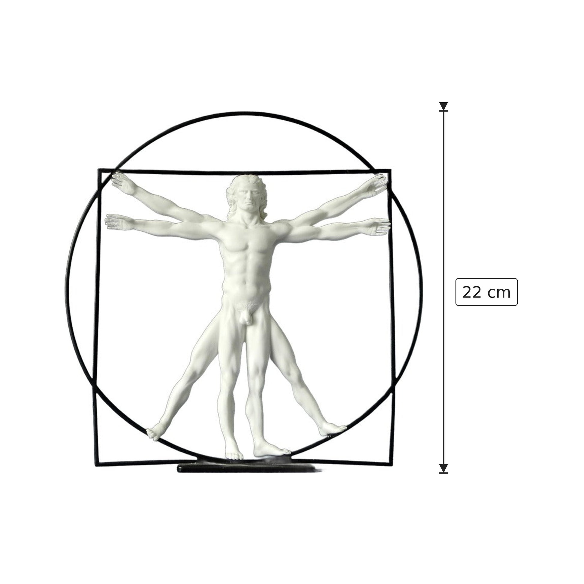 Leonardo Da Vinci - Uomo Vitruviano - h 22 cm - Scultura 3D - Fatta e Dipinta a Mano