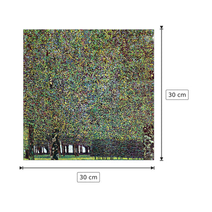 The Park - Klimt Gustav - cm 30x30 - Pannello in MDF