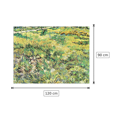 Meadow in the Garden of Saint-Paul Hospital - Van Gogh Vincent - cm 120x90 - Pannello in MDF