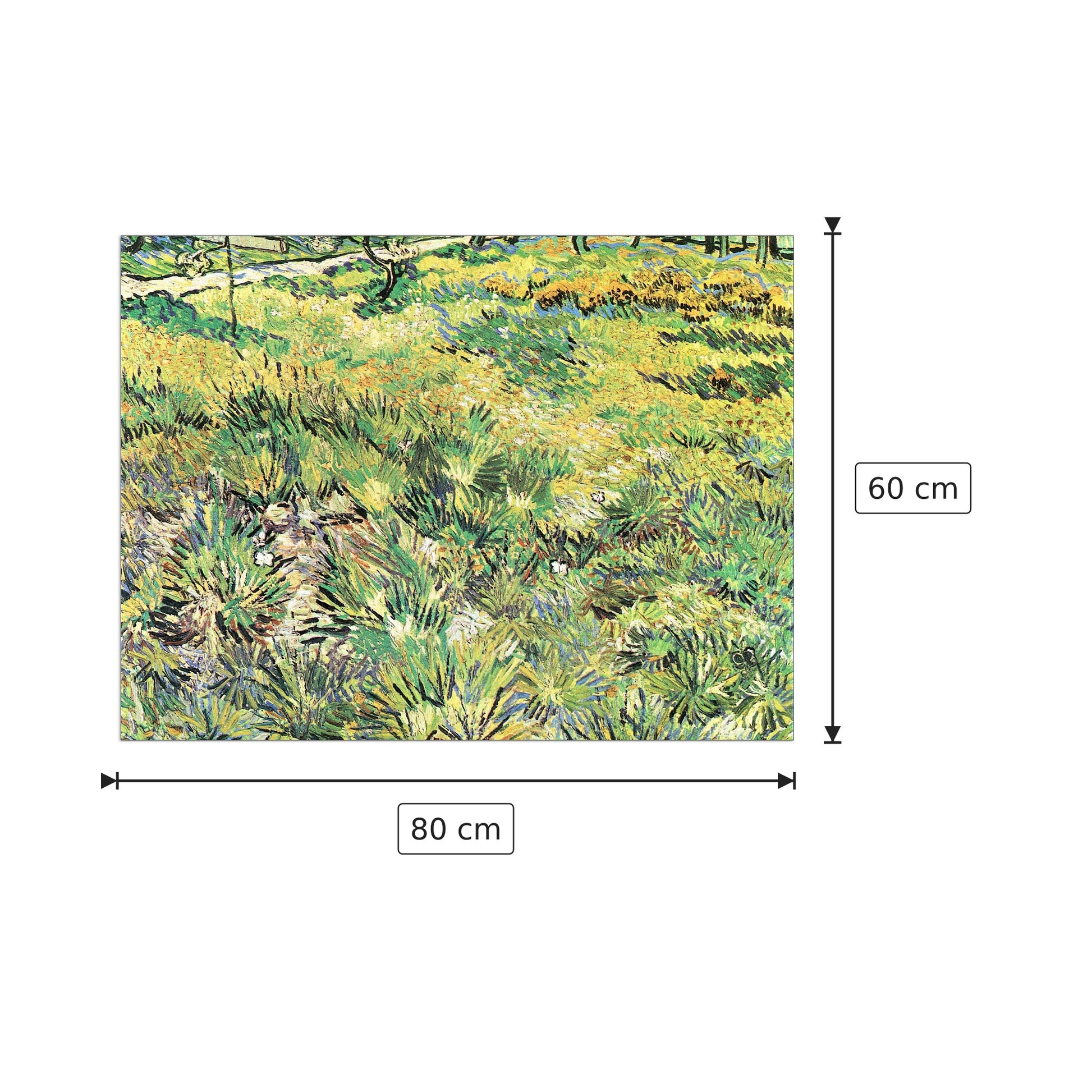 Meadow in the Garden of Saint-Paul Hospital - Van Gogh Vincent - cm 80x60 - Pannello in MDF