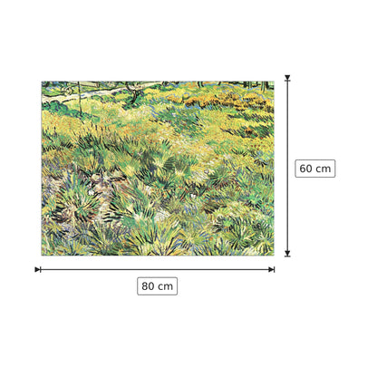 Meadow in the Garden of Saint-Paul Hospital - Van Gogh Vincent - cm 80x60 - Pannello in MDF