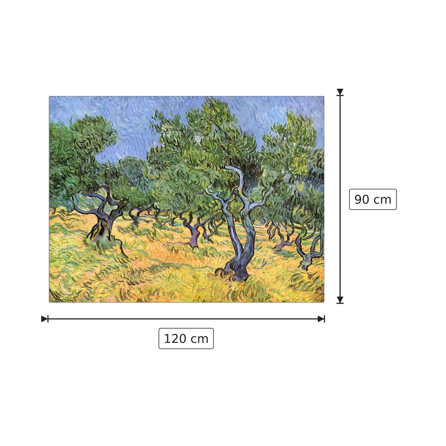 Olive Trees - Van Gogh Vincent - cm 120x90 - Pannello in MDF