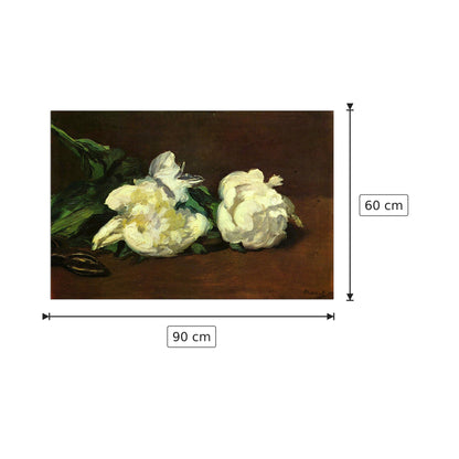 Still life, White Peony - Manet Édouard - cm 90x60 - Pannello in MDF
