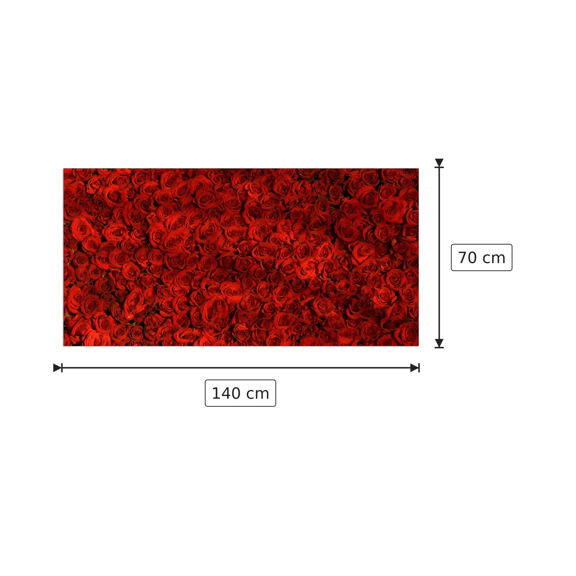 Red roses - Art Studio - cm 140x70 - Pannello in MDF