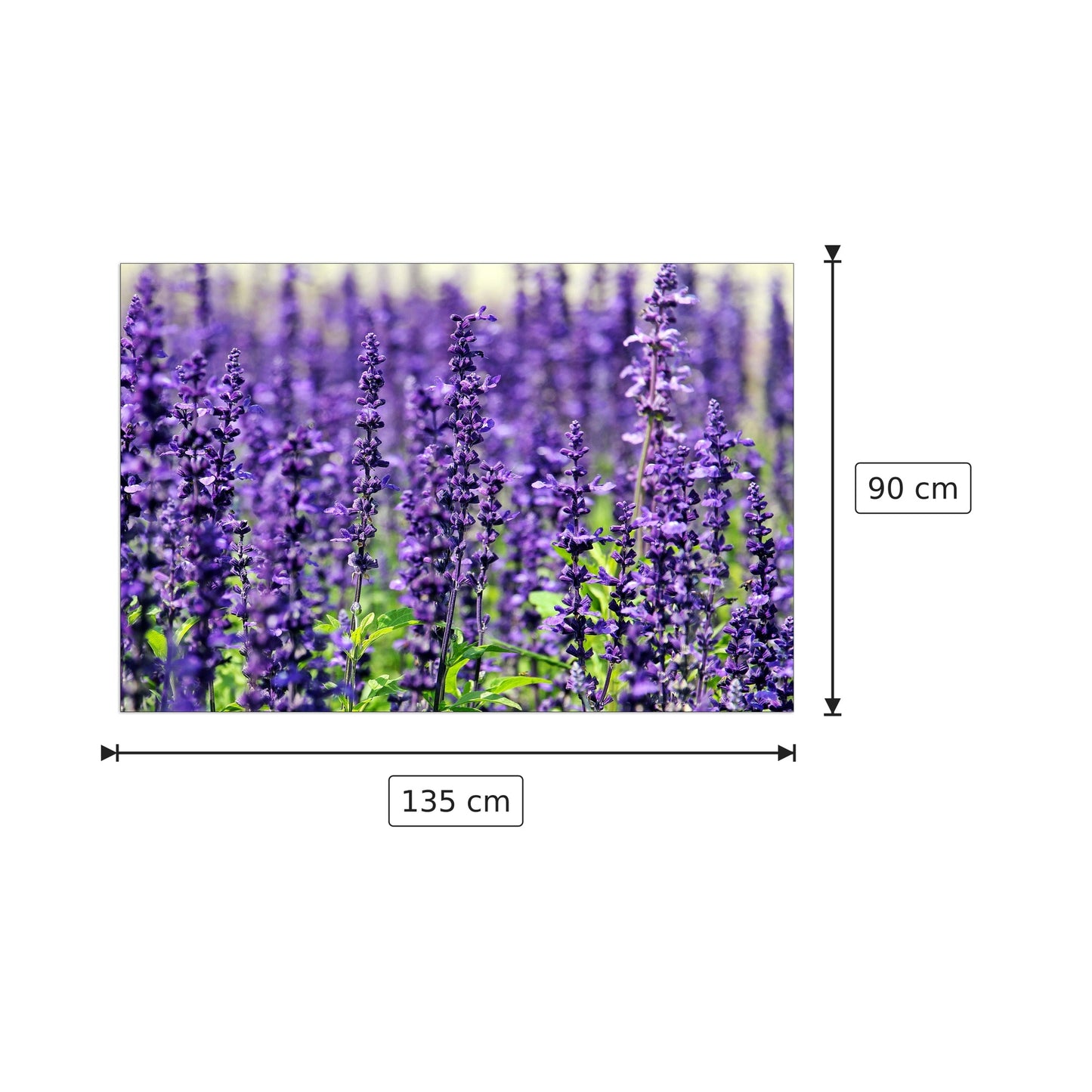 Violet - Art Studio - cm 135x90 - Pannello in MDF