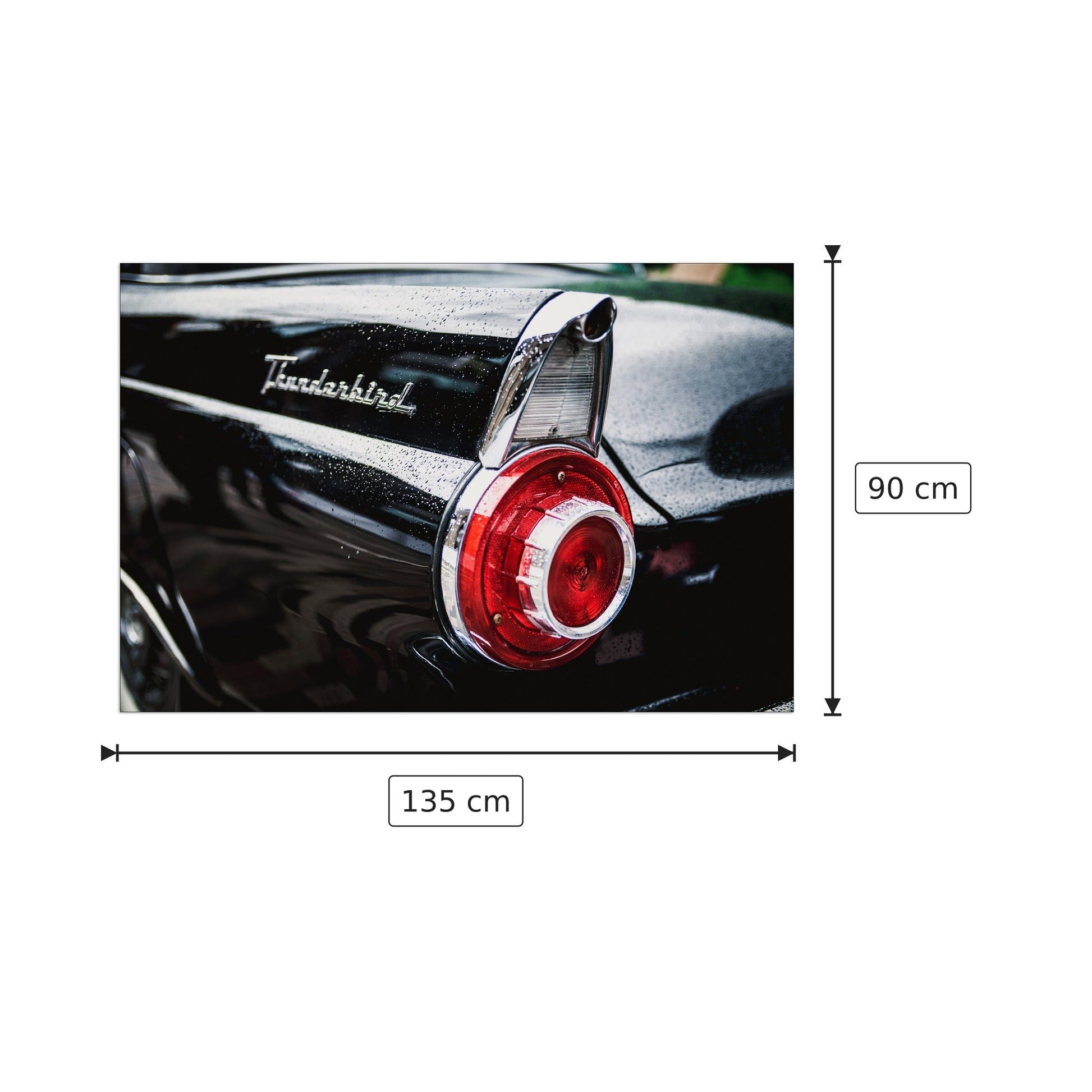 Thunderbird - Art Studio - cm 135x90 - Pannello in MDF