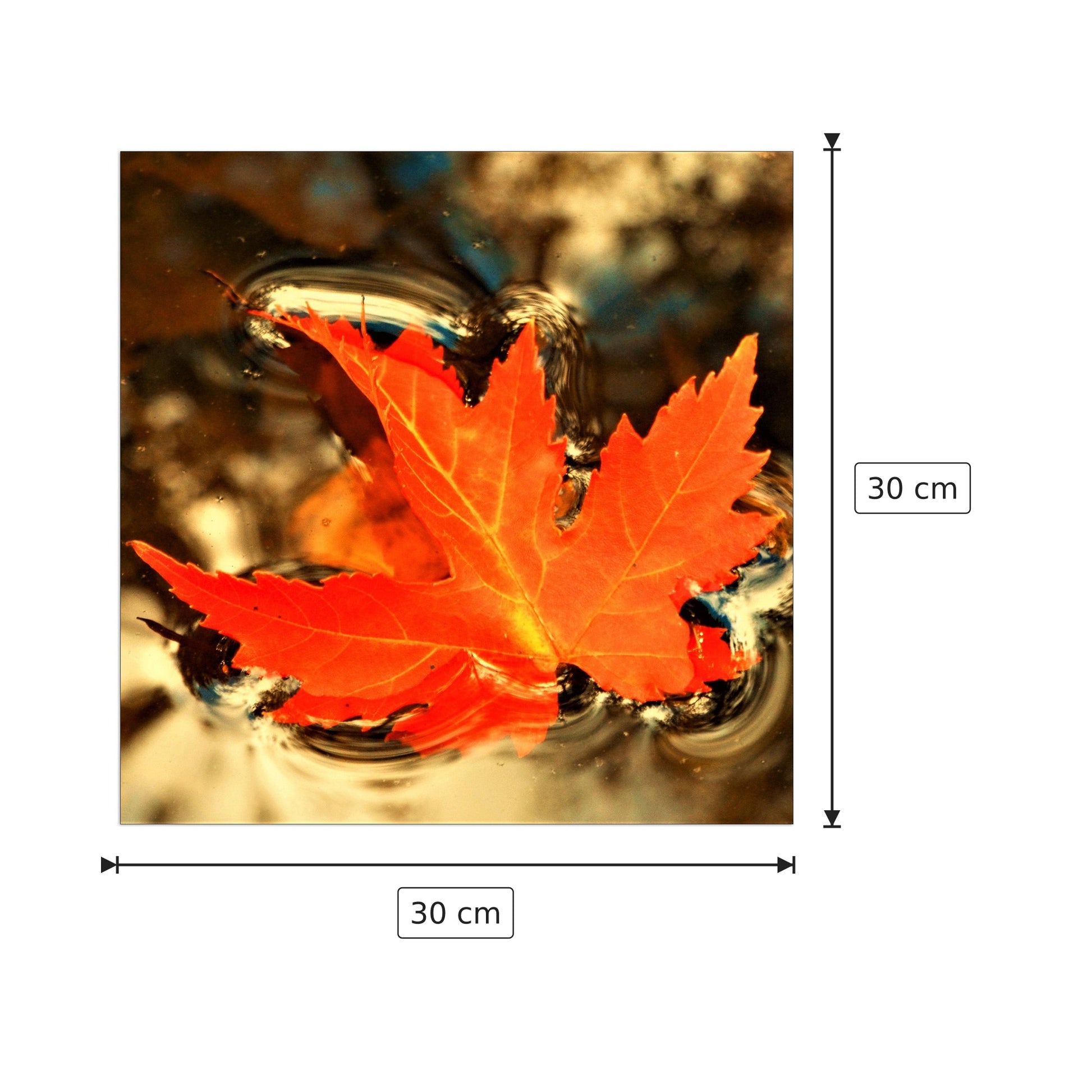 Foglia d'autunno - Art Studio - cm 30x30 - Pannello in MDF