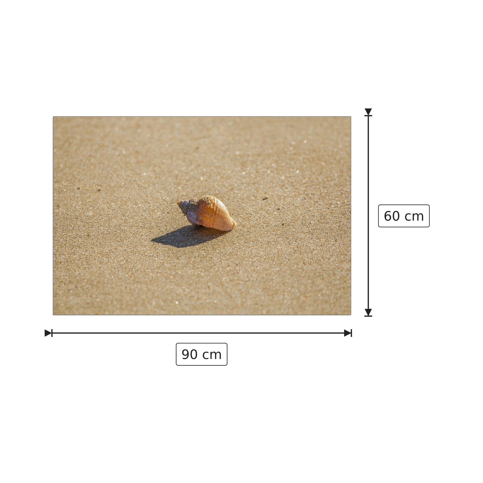 Shell - Art Studio - cm 90x60 - Pannello in MDF