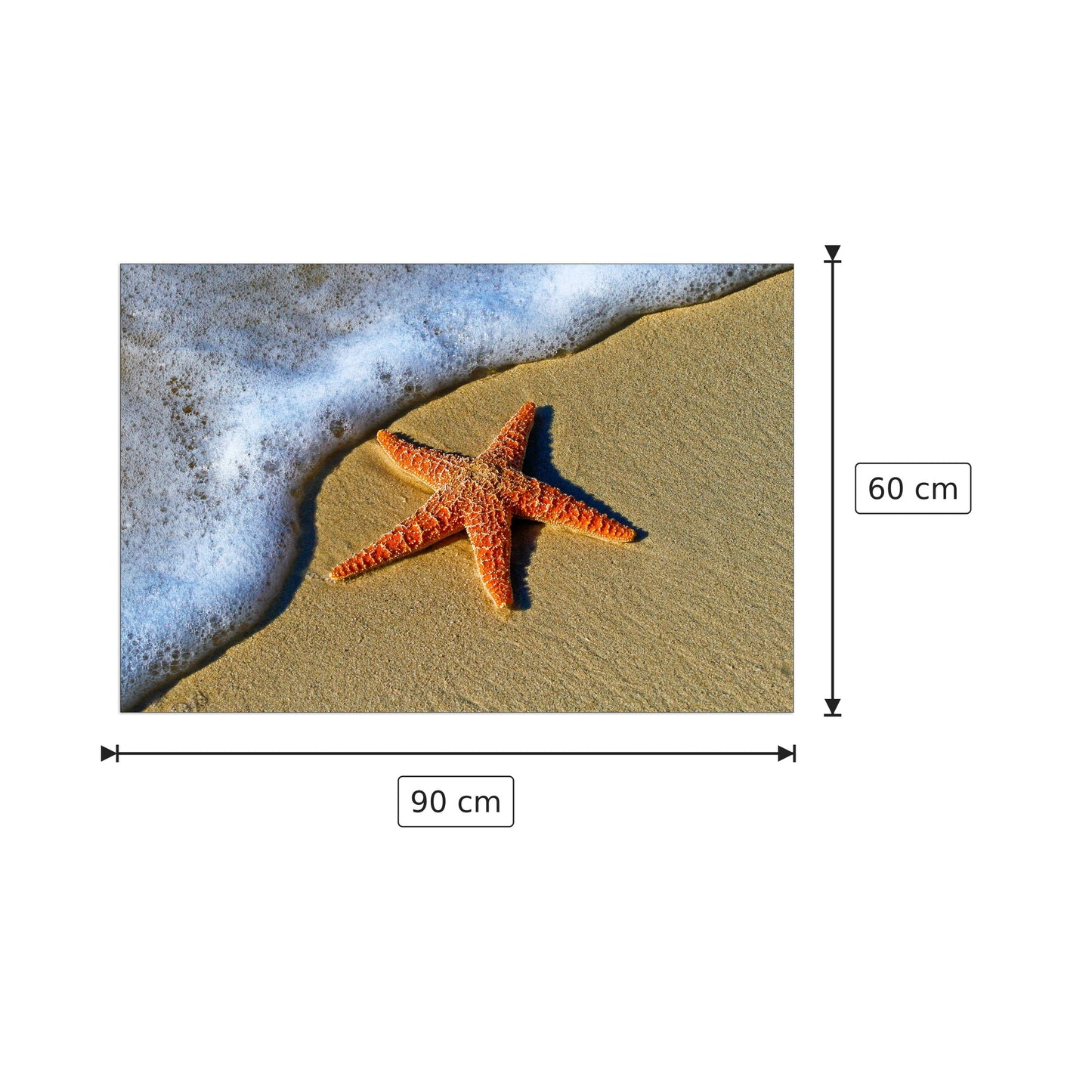 Starfish on the beach - Pedro Lastra - cm 90x60 - Pannello in MDF