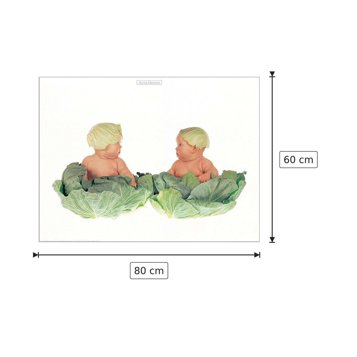 Senza Titolo - GEDDES - cm 80x60 - Pannello in MDF