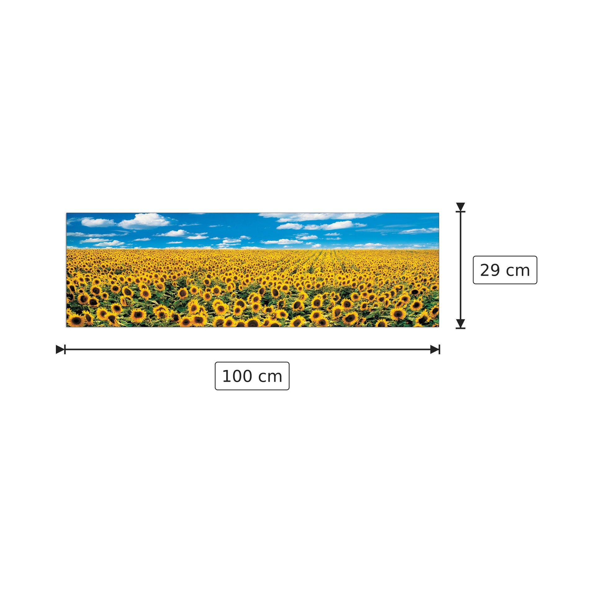 A Sunflower Field in Provence - ANTHEA IMAGES - cm 100x29 - Pannello in MDF