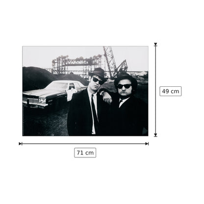 Blues Brother - BAKER - cm 71x49 - Pannello in MDF