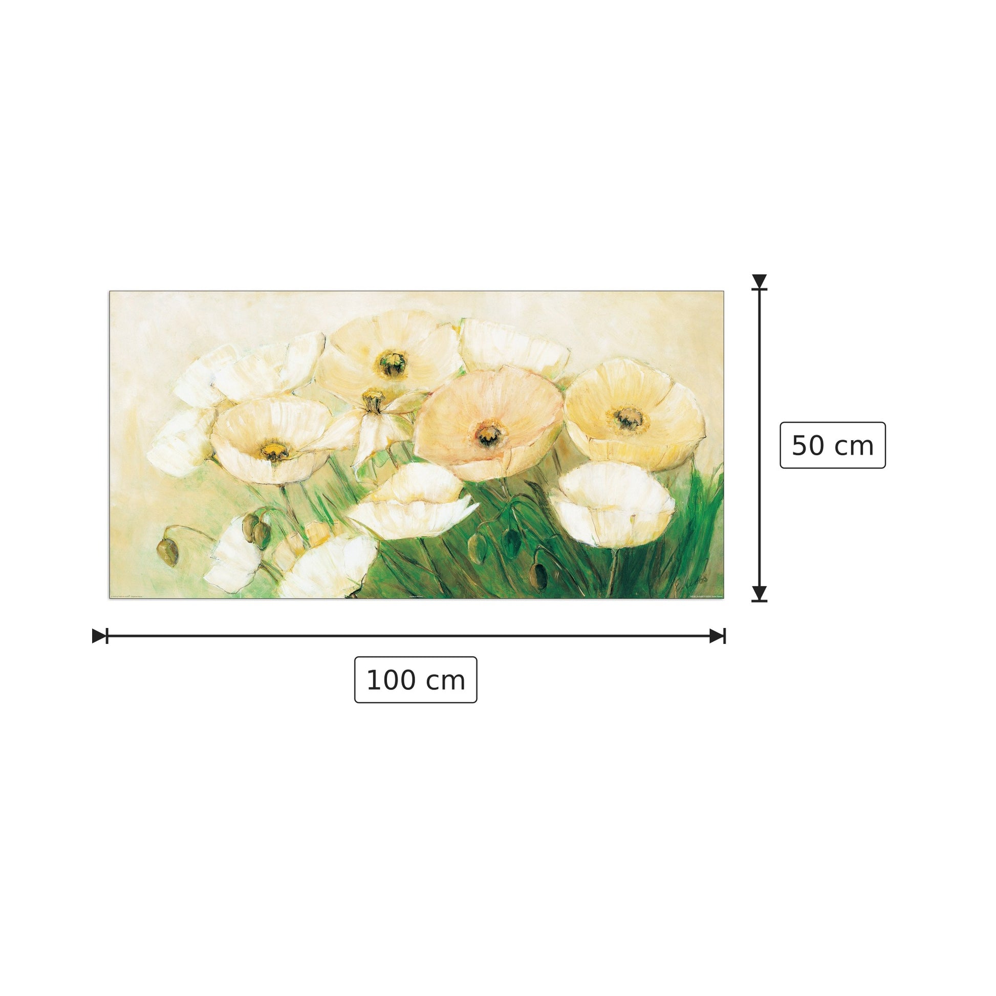Tender Poppies - KROBS - cm 100x50 - Pannello in MDF