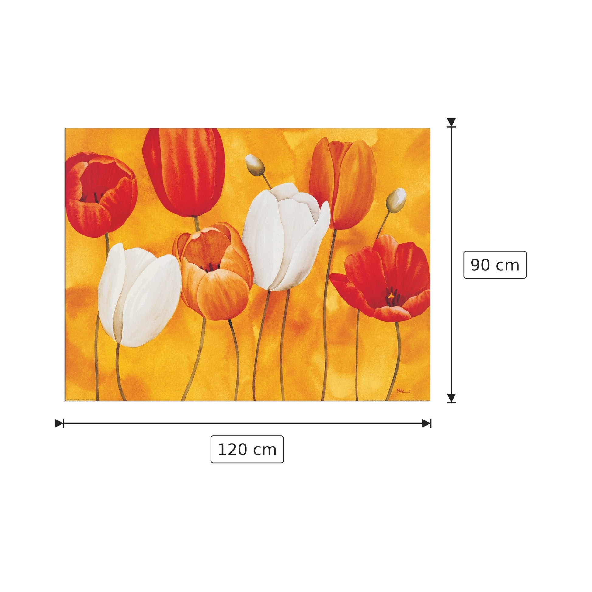 Festa Di Tulipani - LUFFARELLI - cm 120x90 - Pannello in MDF