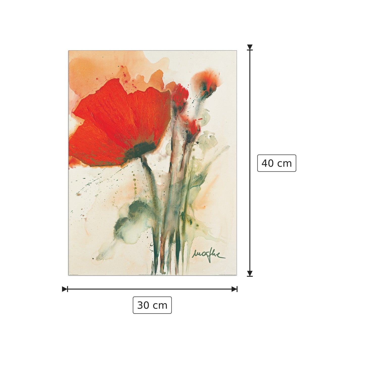 Mohnblumenstraua I - MARTHE - cm 30x40 - Pannello in MDF
