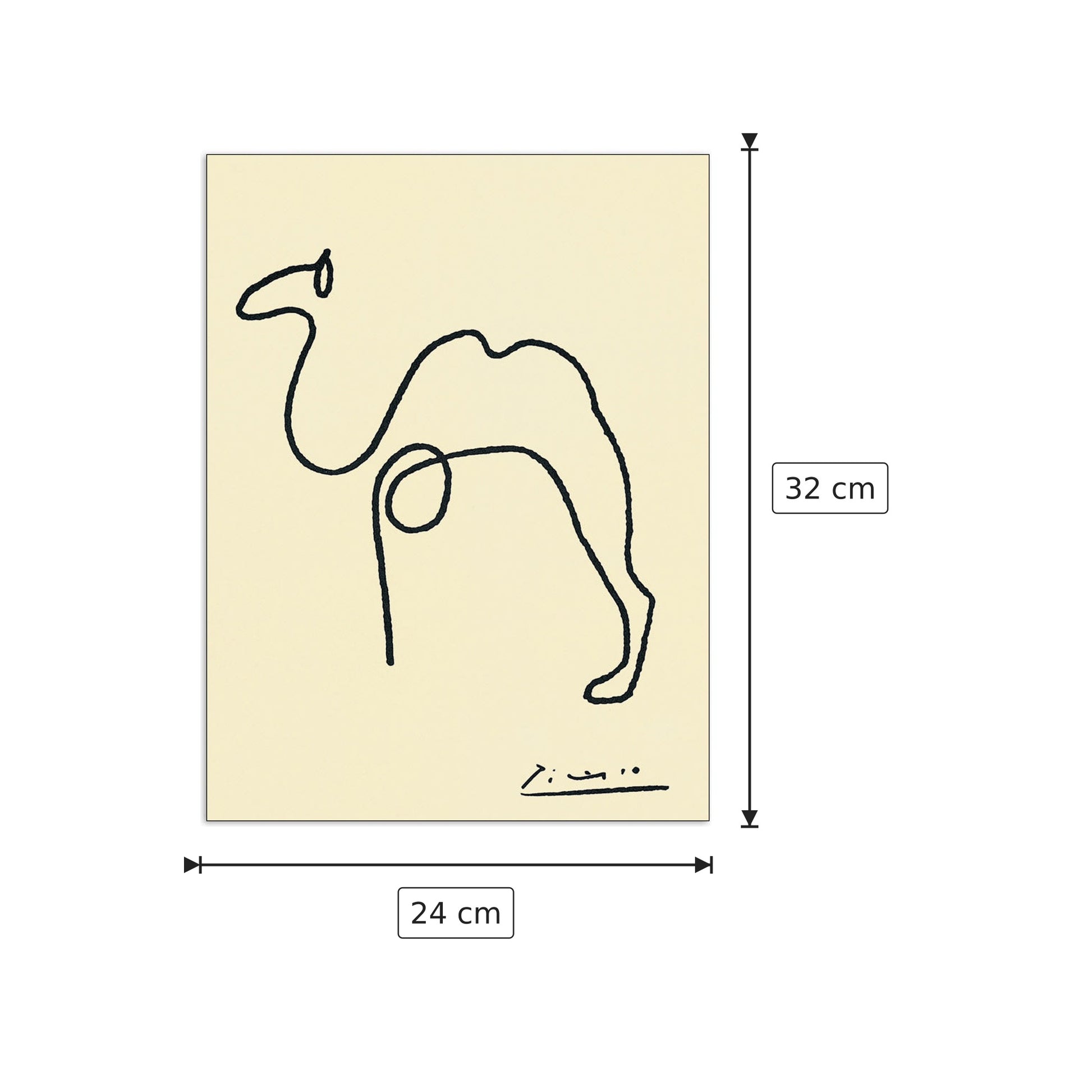 The Camel - PICASSO - cm 24x32 - Pannello in MDF