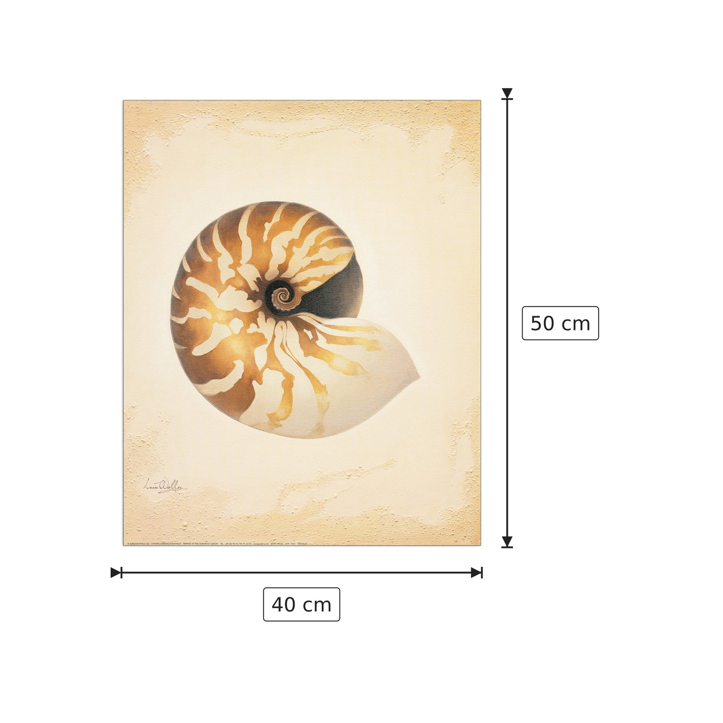 Nautilus - WELLES - cm 40x50 - Pannello in MDF