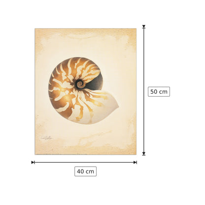 Nautilus - WELLES - cm 40x50 - Pannello in MDF